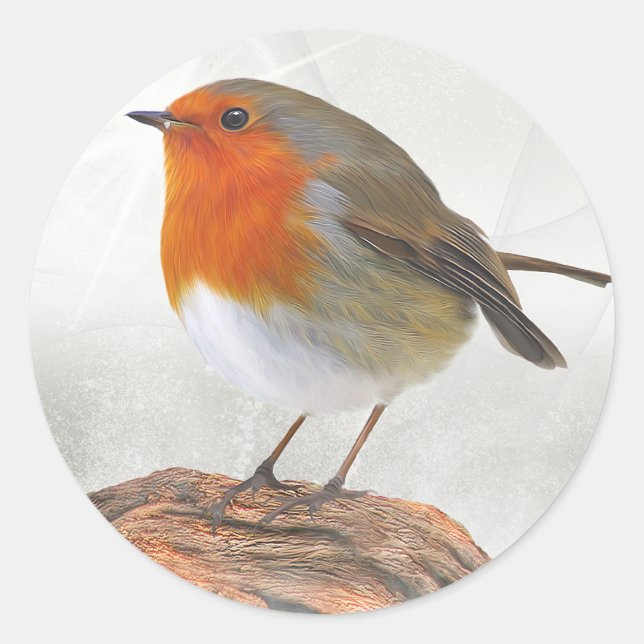 Plump Robin Redbröst Runt Klistermärke (Framsida)