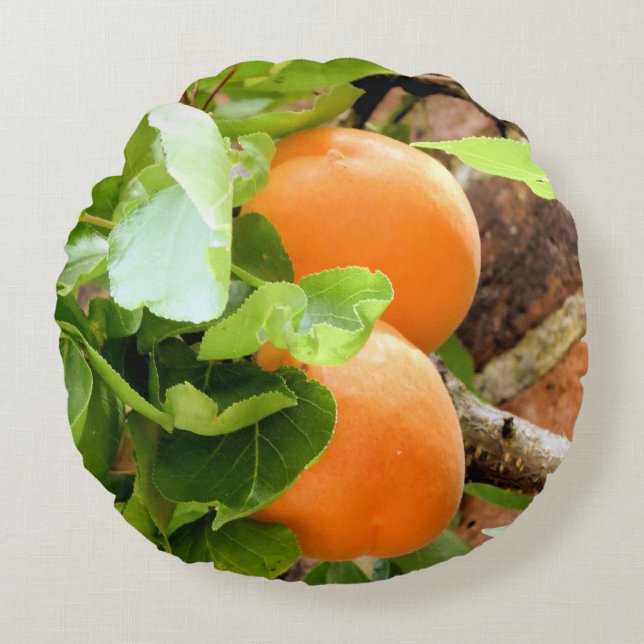 PLUMS RUND KUDDE (Framsidan)