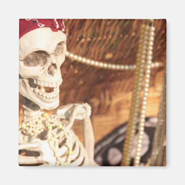 Plunder Party! Magnet (Framsidan)