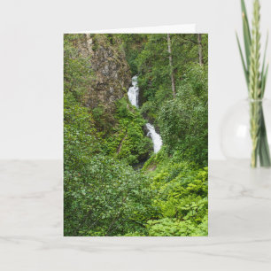 Plush Thunderbird Painterly Kort