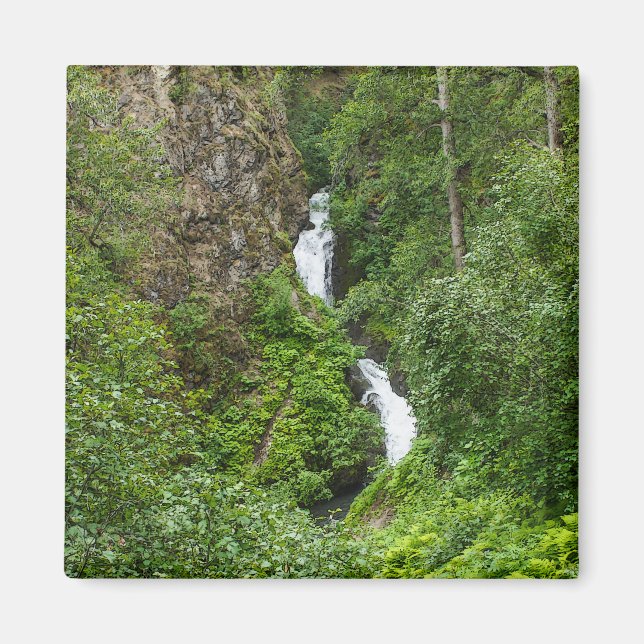 Plush Thunderbird Painterly Magnet (Framsidan)