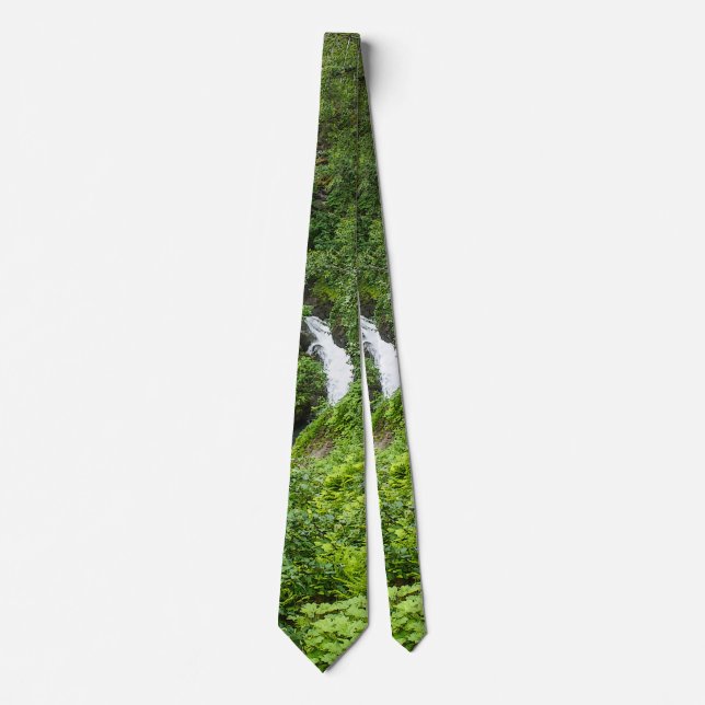 Plush Thunderbird Painterly Neck Tie Slips (Framsida)