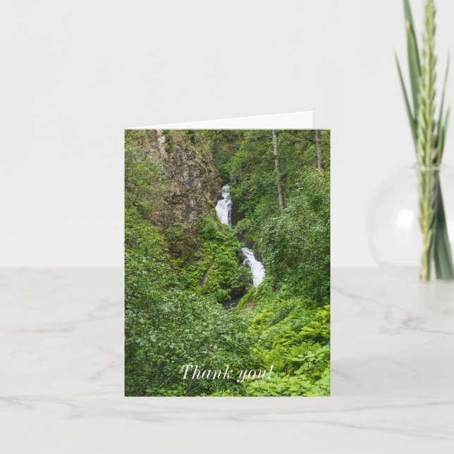 Plush Thunderbird Painterly Tack Kort (Framsida)