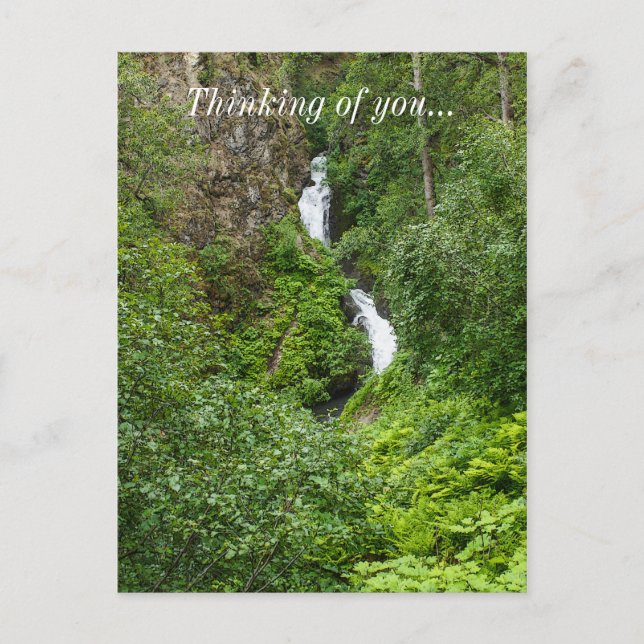 Plush Thunderbird Painterly Vykort (Framsida)