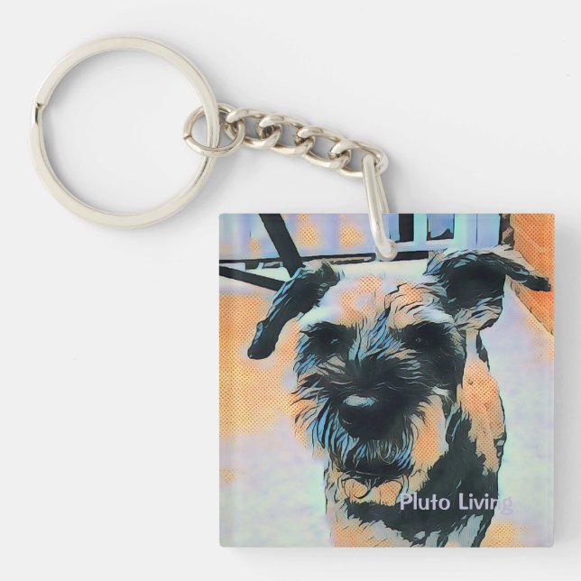 Pluto-levande (Framsidan)