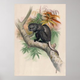 Pluto Monkey av Joseph Varg Poster