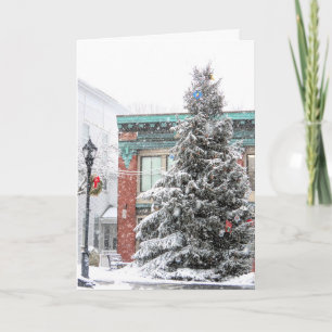 Plymouth MORSA Julgran Kort