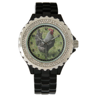 Plymouth Sten Chicken Watch Armbandsur