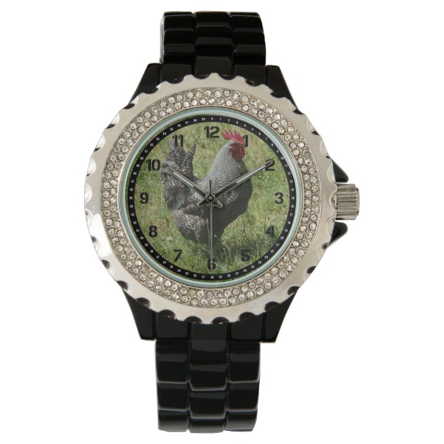Plymouth Sten Chicken Watch Armbandsur (Framsida)