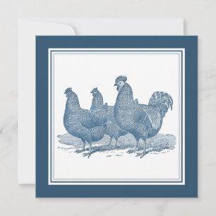 Plymouth Sten Chickens Antique Blue Tupp Hens Inbjudningar