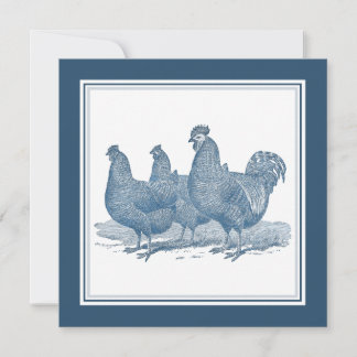 Plymouth Sten Chickens Antique Blue Tupp Hens Inbjudningar