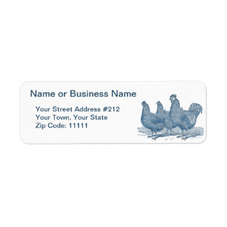 Plymouth Sten Chickens Antique Blue Tupp Hens Returadress Etikett