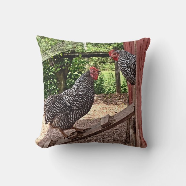 Plymouth Sten Hens Kudde (Framsida)