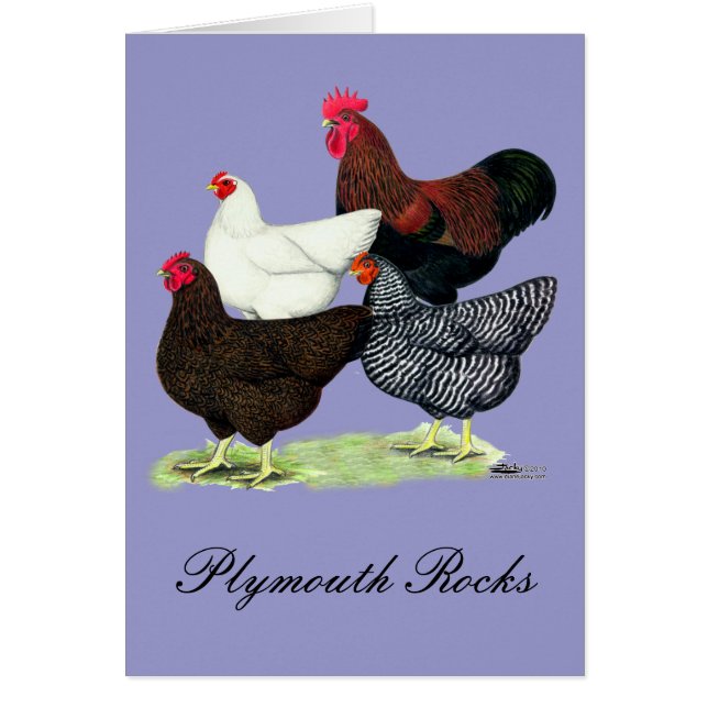 Plymouth Sten-kvartetten OBS Kort (Framsidan)