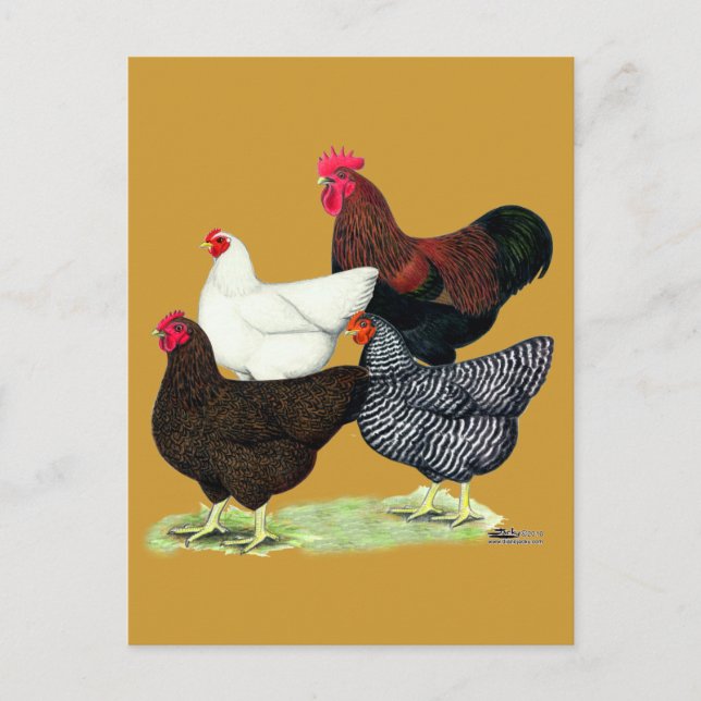 Plymouth Sten-kvartetten Vykort (Framsida)