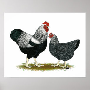 Plymouth Sten: Silver Penciled Pair Poster