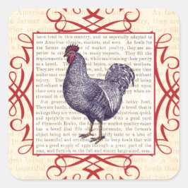 Plymouth Sten Tupp Vintage Poultry Farm Fyrkantigt Klistermärke
