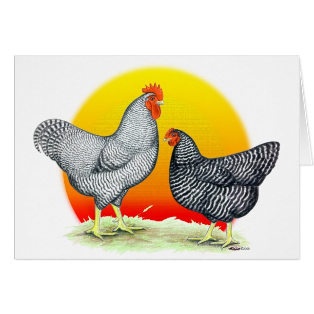 Plymouth stenar:  Soluppgång Hälsningskort (Framsidan Horizontal)