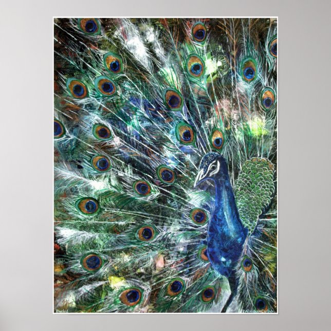 PMACarlson Jueled Poster (Framsidan)