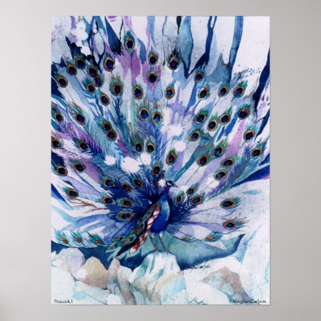 PMACarlson Peacock I Poster (Framsidan)