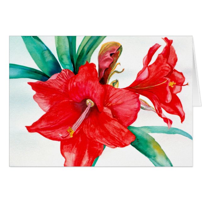 PMACarlson rött Amarylis kort (Framsidan Horizontal)