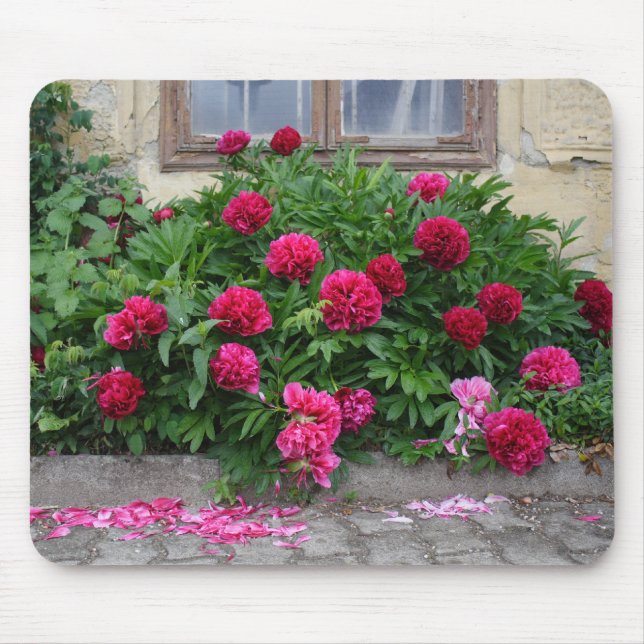 Pnagstrosen Musmatta (Framsidan)