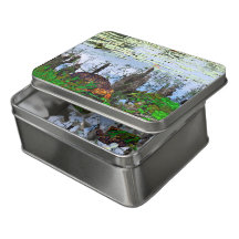 Pneumatofores Turtle Dragonfly Pond