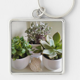 Pockade succulars med Seashell Fyrkantig Silverfärgad Nyckelring