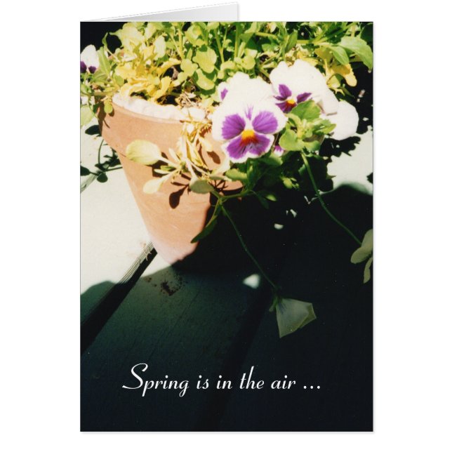 Pockade Vår Pansies Hälsningskort (Framsidan)