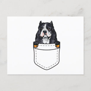 Pocket Bully Hund Inbjudan Vykort
