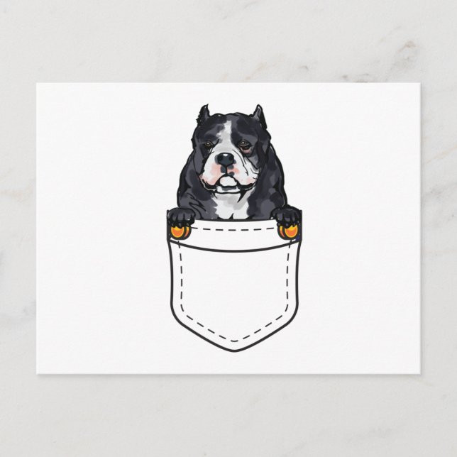 Pocket Bully Hund Inbjudan Vykort (Framsida)