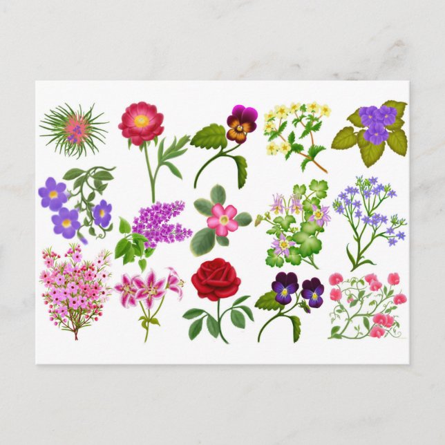Pocket Calendar Colorful Garden Flowers Vykort (Framsida)
