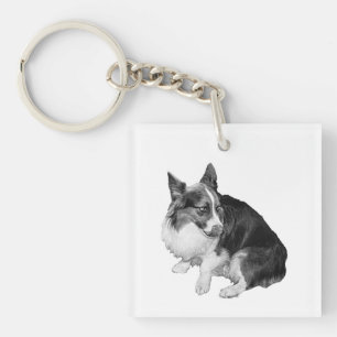 Pocket Herder