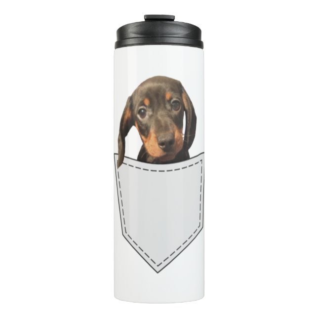 Pocket Hund Dachshund (Framsida)