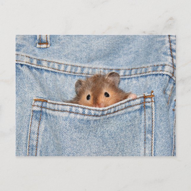 Pocket pet vykort (Framsida)