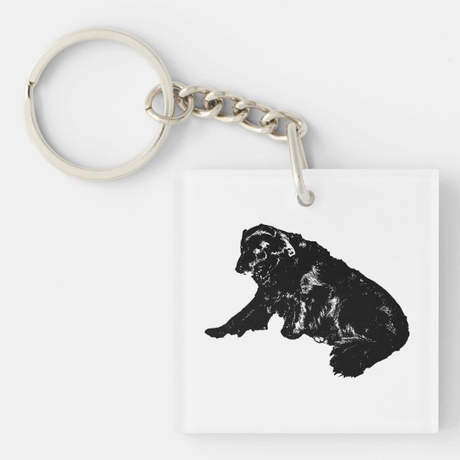 Pocket Retriever, Gentle Helgdag Wink (Framsidan)