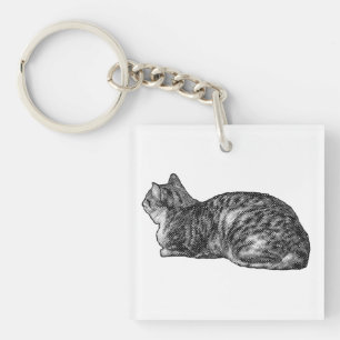 Pocket Tabby, Tuckad Tassar