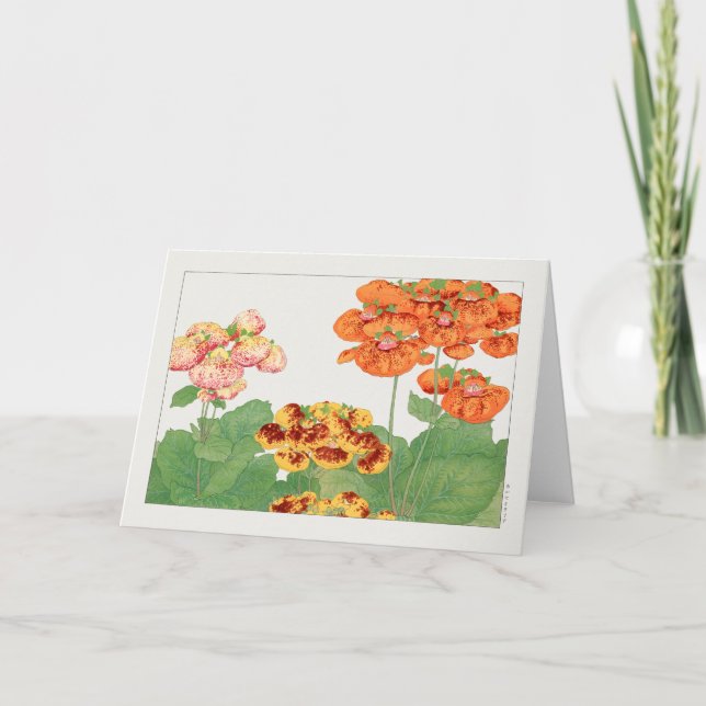 Pocketbook-anläggningen i Tanigami Konan Kort (Framsida)