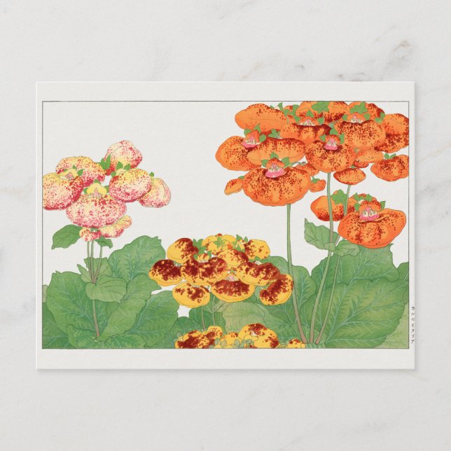 Pocketbook-anläggningen i Tanigami Konan Vykort (Framsida)