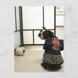 Pocky 棟 梁 Postkort Vykort