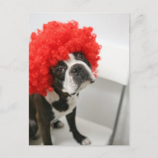 Pocky Postcards Vykort