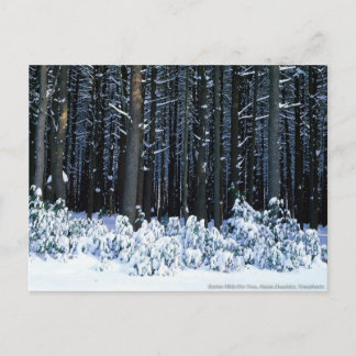 Poconobergen. Pennsylvania Vykort