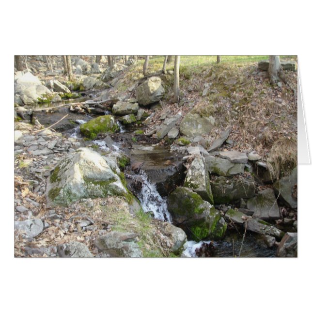 Poconos Pennsylvania Hälsningskort (Framsidan Horizontal)