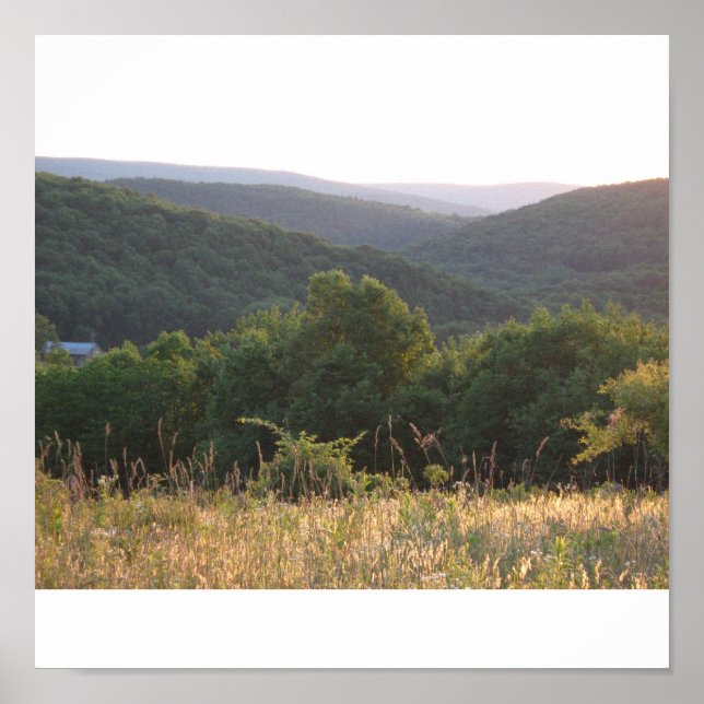 Poconos Poster (Framsidan)
