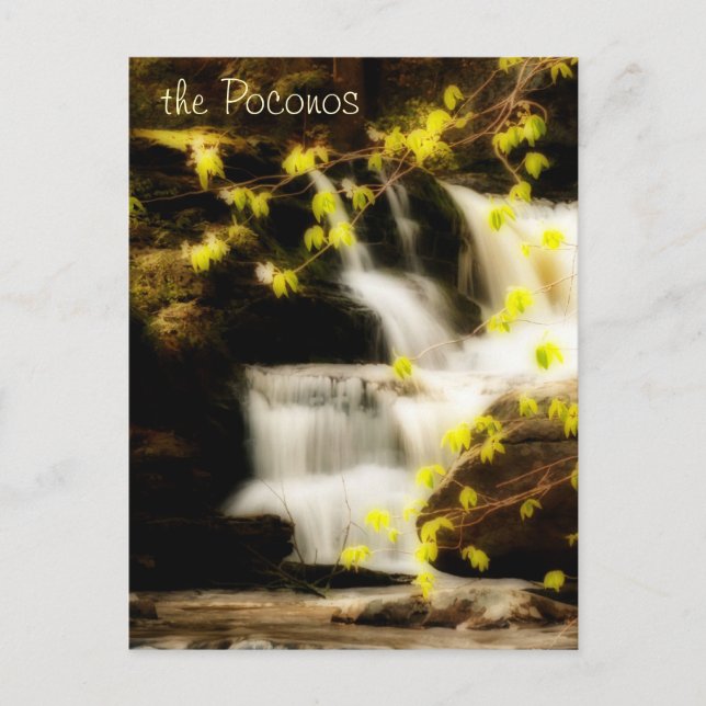 Poconos Springtime Waterfall Scene vykort (Framsida)