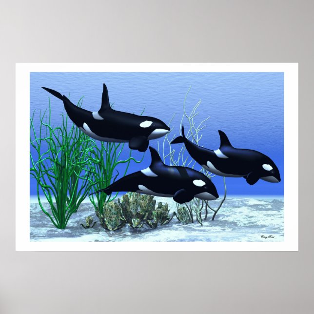 POD SKRIV UT POSTER (Framsidan)