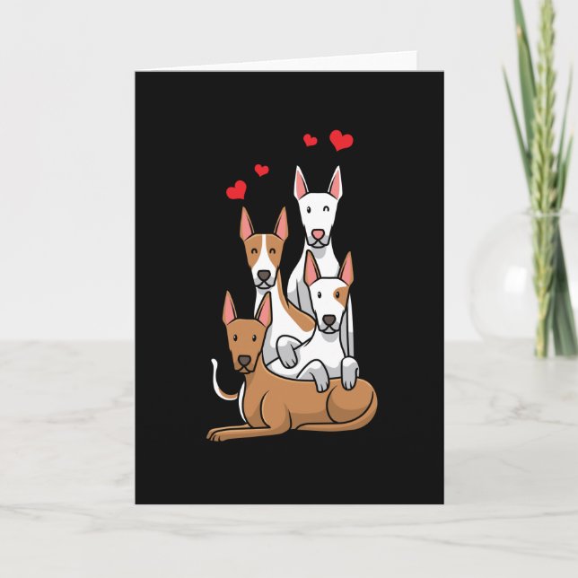 Podenco Hundar Kort (Framsida)