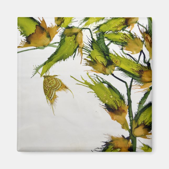 Poder och fjärilsmusslor med lång Grönt Magnet (Framsidan)