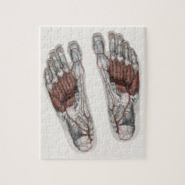 Podiatry Foot för vintage Human Anatomy Footprint Pussel