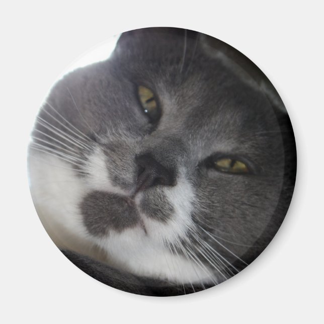 Poe 2 magnet (Framsidan)